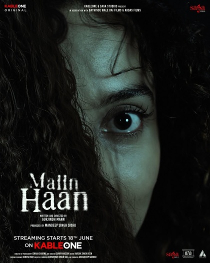 Maiin20Haan202026.jpg